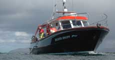 Attrractions in the town of Tobermory including whale and wildlife trips